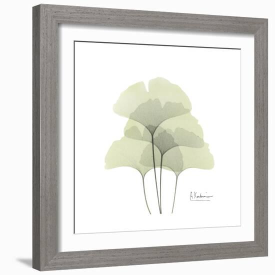 Ginko Portrait 1-Albert Koetsier-Framed Premium Giclee Print