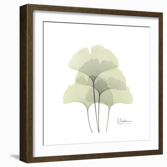 Ginko Portrait 1-Albert Koetsier-Framed Premium Giclee Print