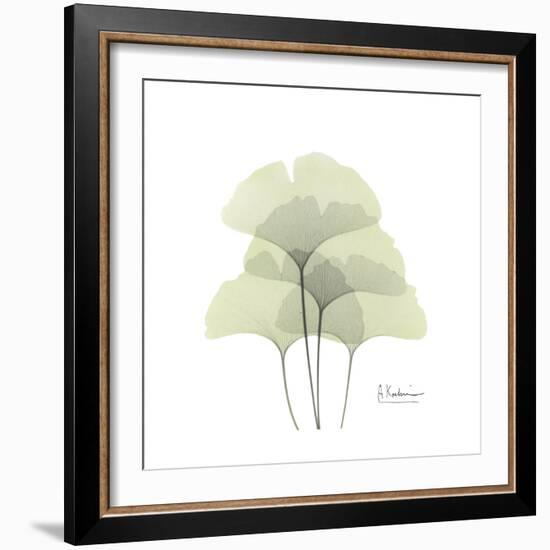 Ginko Portrait 1-Albert Koetsier-Framed Premium Giclee Print