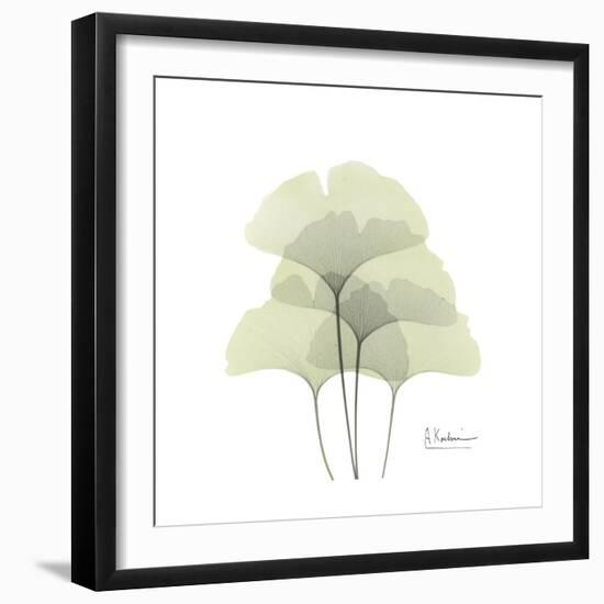 Ginko Portrait 1-Albert Koetsier-Framed Premium Giclee Print