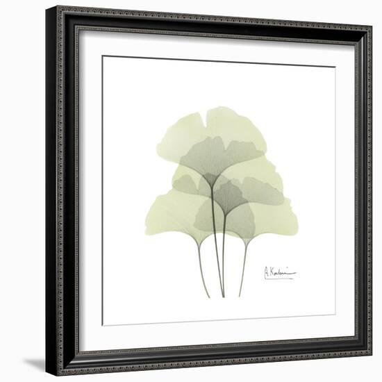 Ginko Portrait 1-Albert Koetsier-Framed Premium Giclee Print