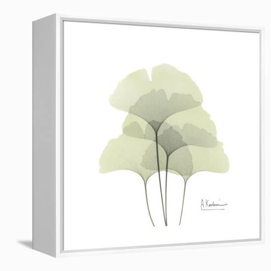 Ginko Portrait 1-Albert Koetsier-Framed Stretched Canvas