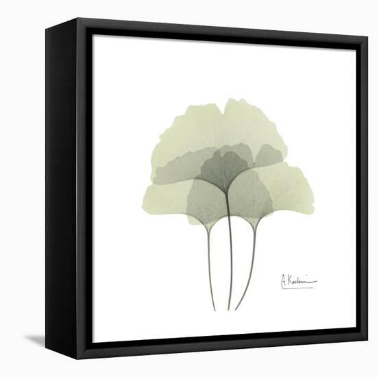 Ginko Portrait 2-Albert Koetsier-Framed Stretched Canvas