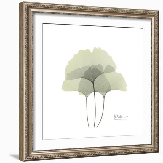 Ginko Portrait 2-Albert Koetsier-Framed Premium Giclee Print