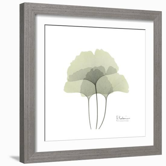 Ginko Portrait 2-Albert Koetsier-Framed Premium Giclee Print