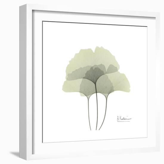 Ginko Portrait 2-Albert Koetsier-Framed Premium Giclee Print