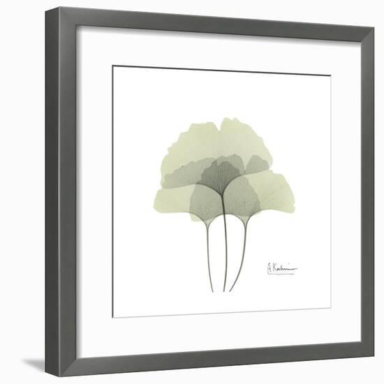 Ginko Portrait 2-Albert Koetsier-Framed Premium Giclee Print