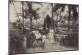 Photographic Print