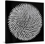 Hypnosis-Giorgio Toniolo-Stretched Canvas