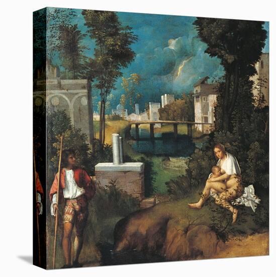 Stretched Canvas Print, , large