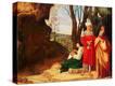 Stretched Canvas Print