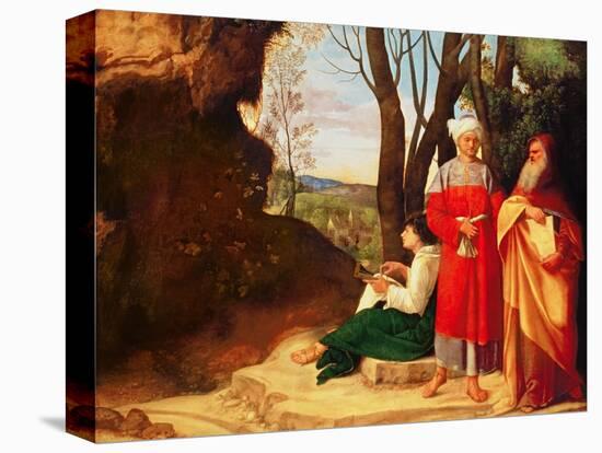 Stretched Canvas Print, , large