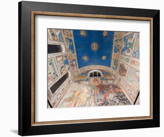 Giotto Frescoes in the Scrovegni Chapel (Cappella Degli Scrovegni), a Church in Padua, Veneto, Ital-Carlo Morucchio-Framed Premium Photographic Print