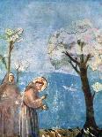 St. Francis Preaching to the Birds-Giotto-Art Print