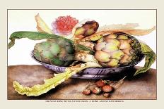 Dish with Figs, Fig Leaves and Small Pomegranates-Giovanna Garzoni-Art Print