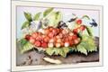 Premium Giclee Print