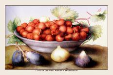 Dish of Medlars, A Rose, and Almonds-Giovanna Garzoni-Framed Art Print