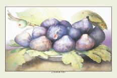 Dish of Grapes and Peaches-Giovanna Garzoni-Art Print