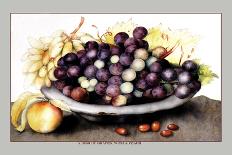 Dish of Grapes and Peaches-Giovanna Garzoni-Art Print