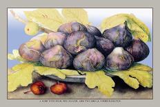 Dish with Figs, Fig Leaves and Small Pomegranates-Giovanna Garzoni-Art Print
