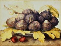 Dish of Cherries with Figs and Medlars-Giovanna Garzoni-Art Print