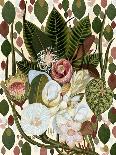 Earthy Blooms.Png-giovanna nicolo-Framed Giclee Print