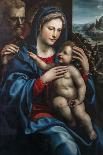 The Holy Family by Giovanni Antonio Bazzi Sodoma-Giovanni Antonio Bazzi Sodoma-Giclee Print