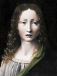 Portrait of a Boy as Saint Sebastian-Giovanni Antonio Boltraffio-Giclee Print