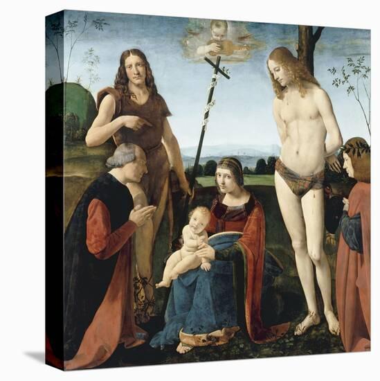 Stretched Canvas Print, , large