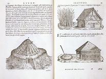 Illustration of Methods for Raising Columns-Giovanni Antonio Rusconi-Framed Giclee Print