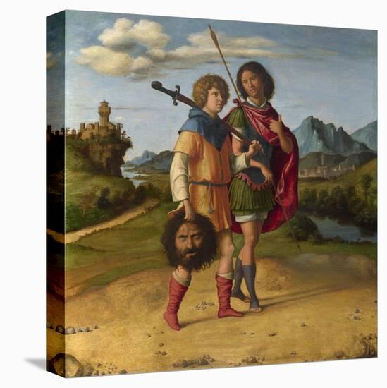 Stretched Canvas Print, , large