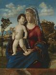 Virgin and Child (Oil on Board)-Giovanni Battista Cima Da Conegliano-Giclee Print