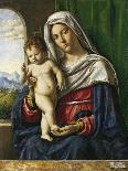 Madonna and Child in a Landscape, c.1496-1499-Giovanni Battista Cima Da Conegliano-Giclee Print