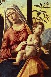 Saint's Face, Detail from Madonna with Child and Saints-Giovanni Battista-Giclee Print