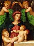 The Madonna and Child with the Infant Saint John the Baptist and Two Angels, C.1512 (Oil on Panel)-Giovanni Battista Rosso Fiorentino-Giclee Print