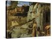 Stretched Canvas Print