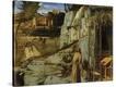 Stretched Canvas Print