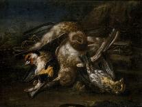 Dead Bird, 1664-Giovanni Benedetto Castiglione-Giclee Print