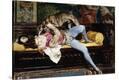 Stretched Canvas Print