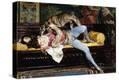 Stretched Canvas Print