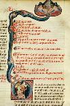 Ms.Lat.6912 Illuminations from Volume 2 of the 'Continens' of Rhazes Concerning Opthalmology and…-Giovanni da Monte Cassino-Laminated Giclee Print