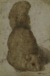 A Squirrel-Giovanni da Udine (Attr to)-Premier Image Canvas