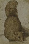 A Squirrel-Giovanni da Udine (Attr to)-Premier Image Canvas