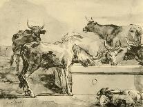'Cows watering', mid-late 18th century, (1928)-Giovanni Domenico Tiepolo-Giclee Print