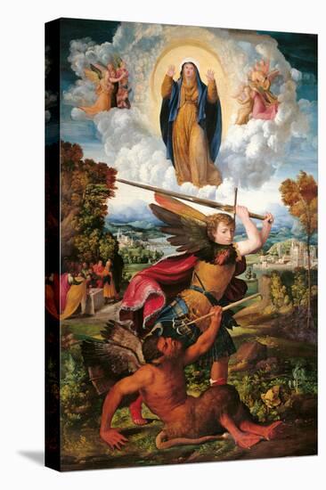 Stretched Canvas Print, , large
