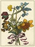 Floral Posy I-Giovanni Ferrari-Art Print