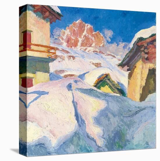 Stretched Canvas Print, , large