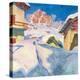 Stretched Canvas Print