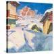 Stretched Canvas Print