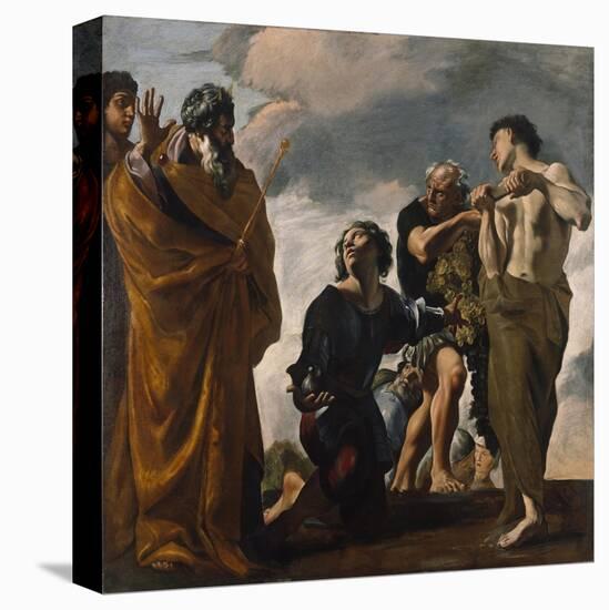 Stretched Canvas Print, , large